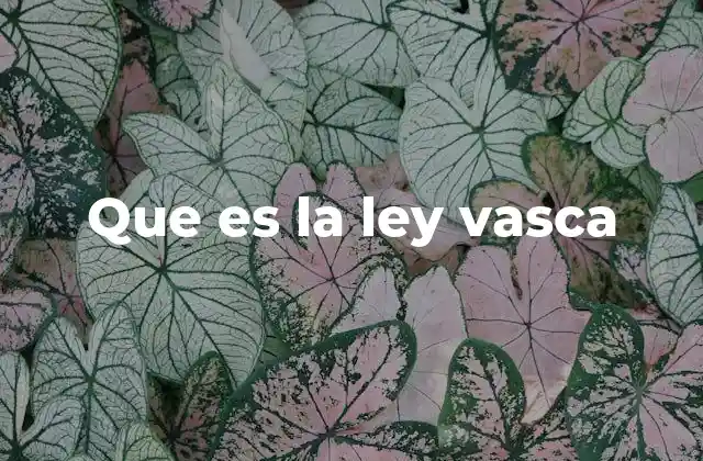 Que es la Ley Vasca