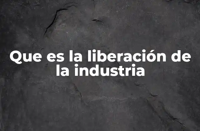 Que es la Liberación de la Industria