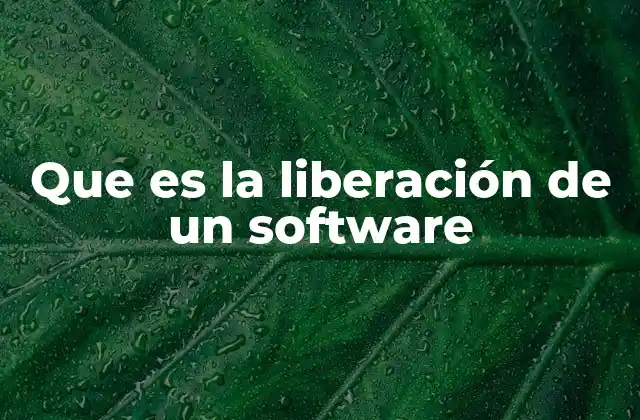 El proceso detrás de la salida de un nuevo software