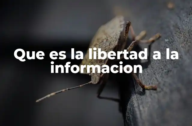 Que es la Libertad a la Informacion