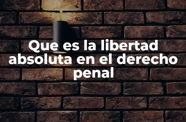Que es la Libertad Absoluta en el Derecho Penal