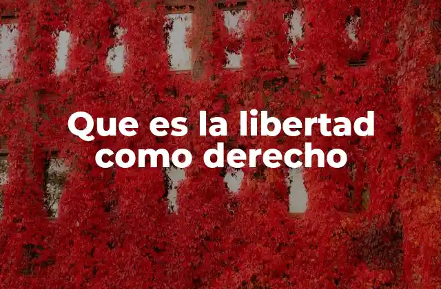 Que es la Libertad como Derecho