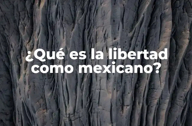 ¿qué es la Libertad como Mexicano?