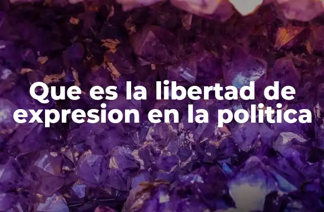 Que es la Libertad de Expresion en la Politica