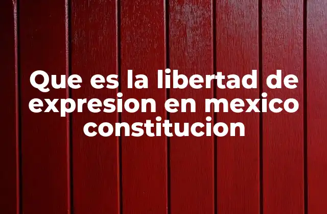 Que es la Libertad de Expresion en Mexico Constitucion