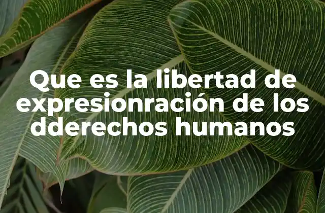 Que es la Libertad de Expresionración de los Dderechos Humanos
