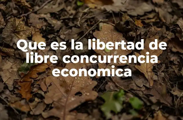 Que es la Libertad de Libre Concurrencia Economica