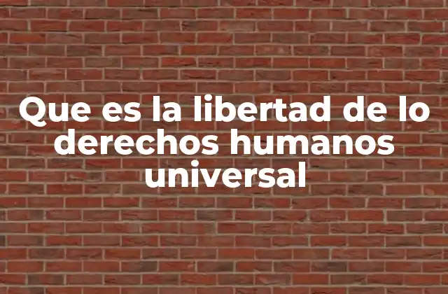 Que es la Libertad de Lo Derechos Humanos Universal