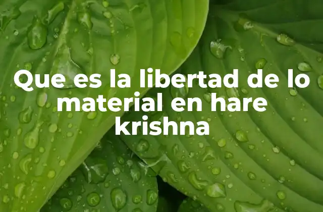 Que es la Libertad de Lo Material en Hare Krishna 2 La lucha interna entre lo espiritual y lo material
