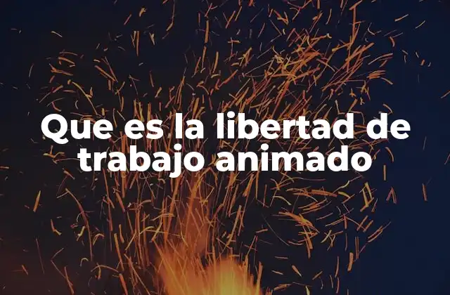 Que es la Libertad de Trabajo Animado