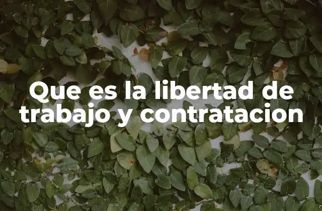 Que es la Libertad de Trabajo y Contratacion