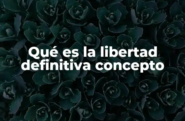 Qué es la Libertad Definitiva Concepto