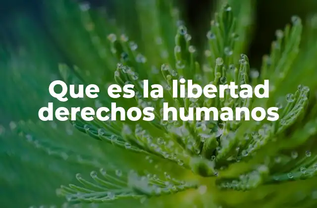 Que es la Libertad Derechos Humanos