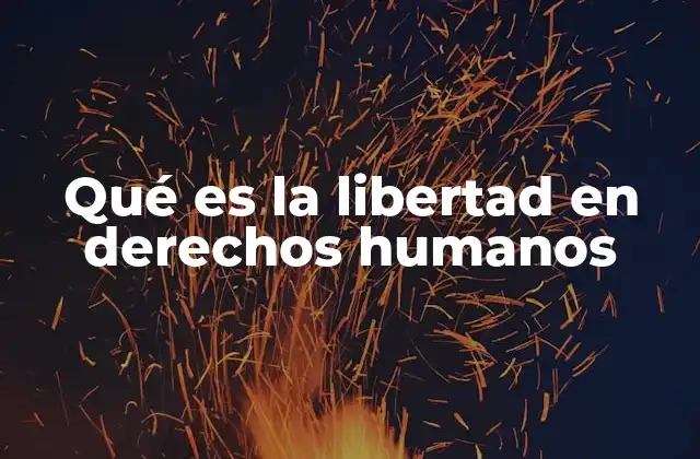 Qué es la Libertad en Derechos Humanos