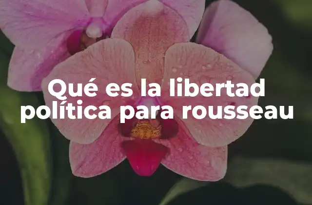 Qué es la Libertad Política para Rousseau