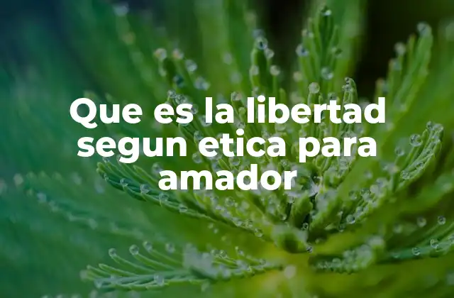 Que es la Libertad Segun Etica para Amador