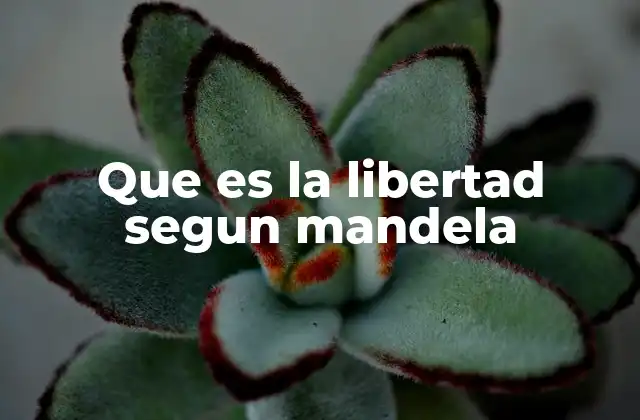 Que es la Libertad Segun Mandela