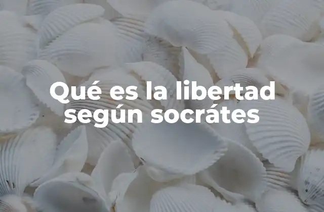Qué es la Libertad según Socrátes