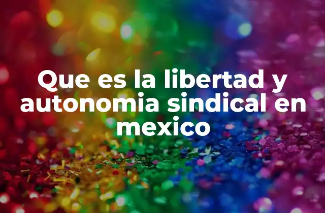 Que es la Libertad y Autonomia Sindical en Mexico