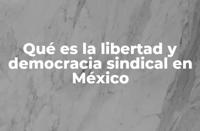 Qué es la Libertad y Democracia Sindical en México