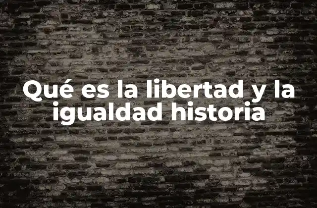 Qué es la Libertad y la Igualdad Historia