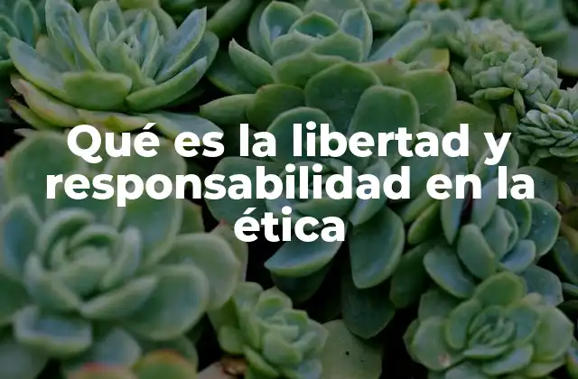 Qué es la Libertad y Responsabilidad en la Ética