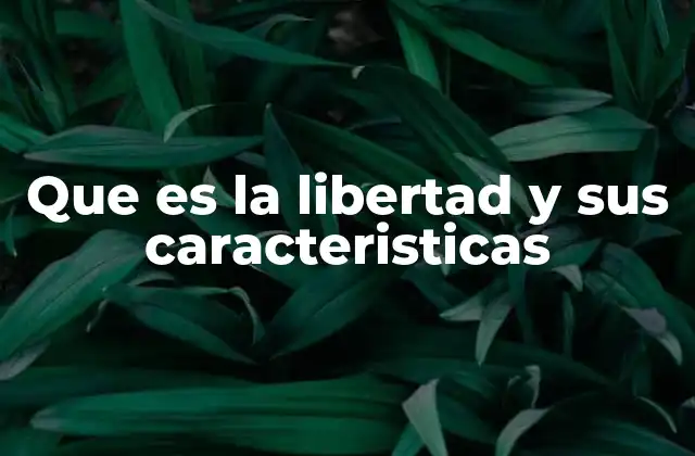 Que es la Libertad y Sus Caracteristicas