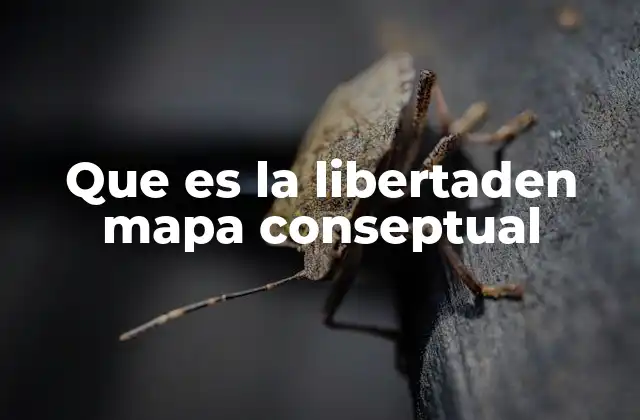 Que es la Libertaden Mapa Conseptual