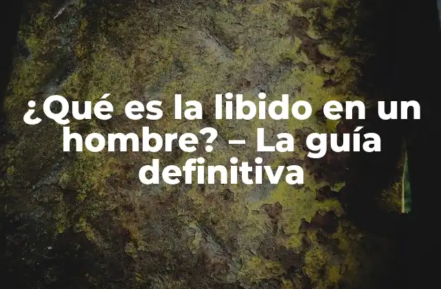 ¿qué es la Libido en un Hombre? – la Guía Definitiva