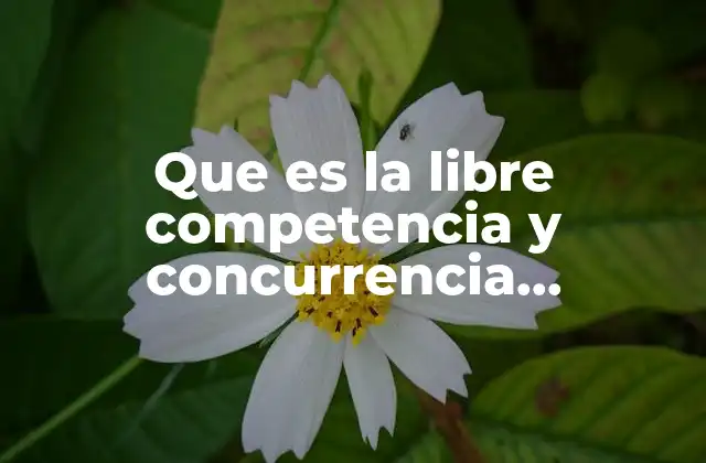 El equilibrio entre libre competencia y regulación gubernamental
