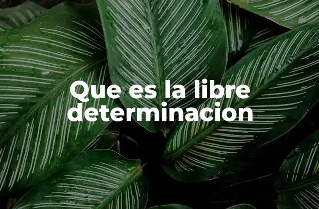 Que es la Libre Determinacion