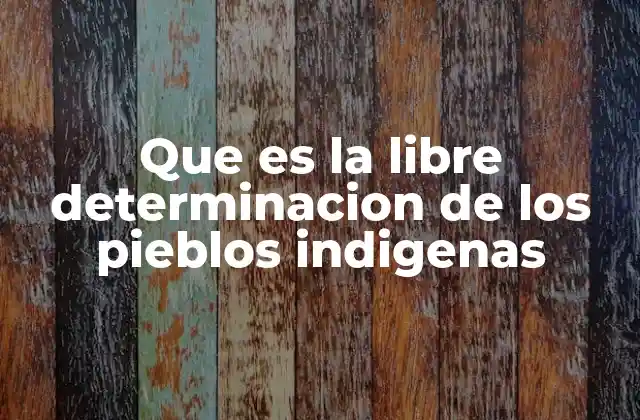 Que es la Libre Determinacion de los Pieblos Indigenas