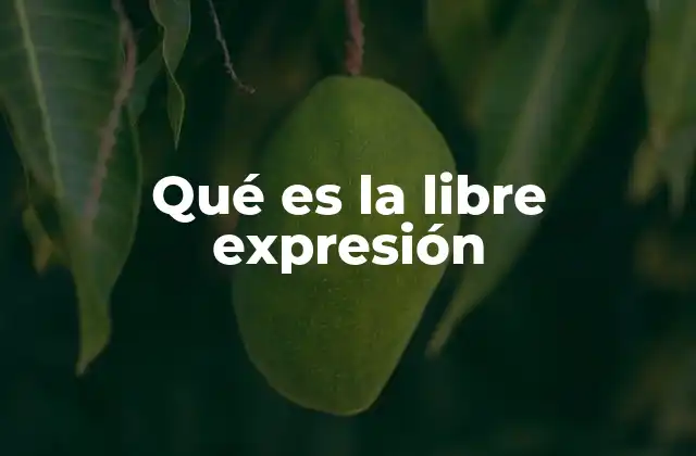Qué es la Libre Expresión