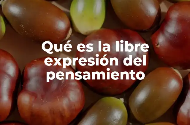 Qué es la Libre Expresión Del Pensamiento