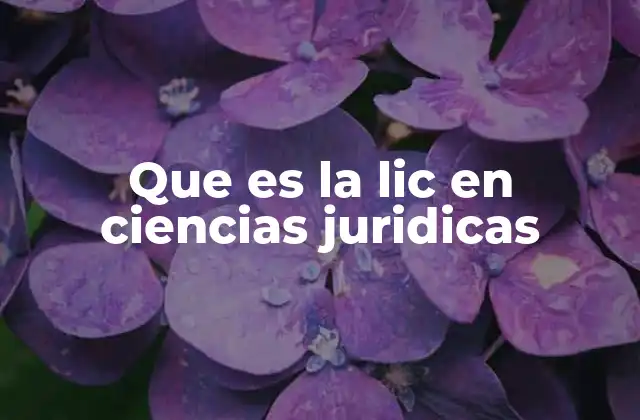 Que es la Lic en Ciencias Juridicas 2 La base del conocimiento legal en la formación universitaria
