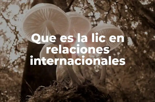 Que es la Lic en Relaciones Internacionales