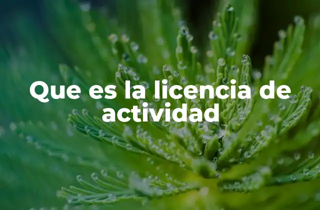 Que es la Licencia de Actividad