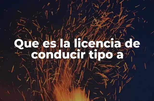 Que es la Licencia de Conducir Tipo a