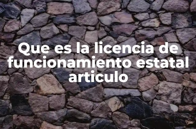 Que es la Licencia de Funcionamiento Estatal Articulo