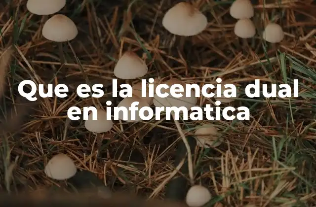 Que es la Licencia Dual en Informatica