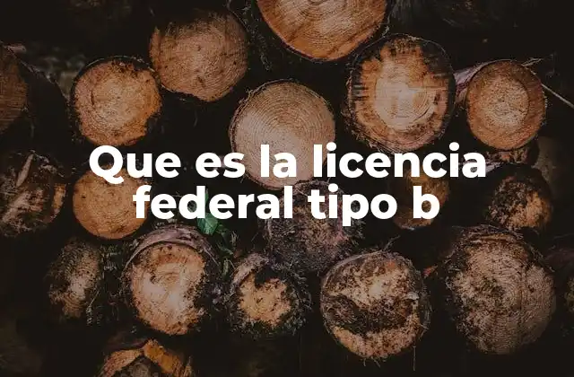 Que es la Licencia Federal Tipo B