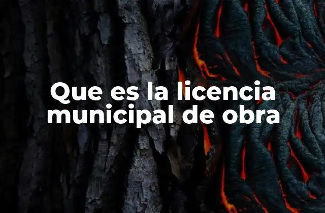 Que es la Licencia Municipal de Obra