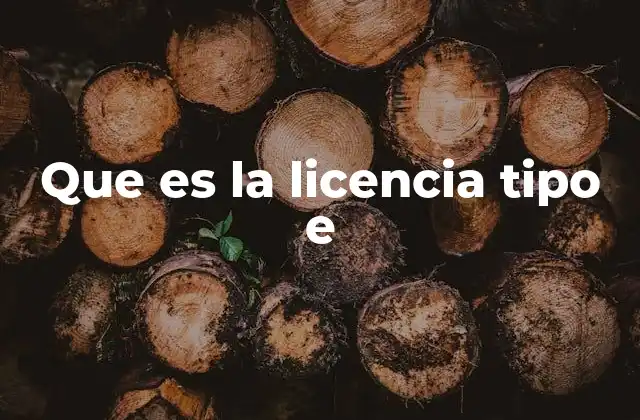 Que es la Licencia Tipo e 2 Requisitos para obtener una licencia tipo E