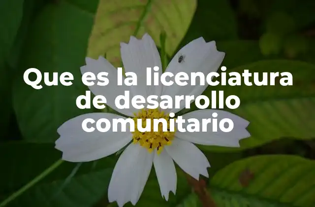 Que es la Licenciatura de Desarrollo Comunitario 2 El papel de los profesionales en el fortalecimiento social