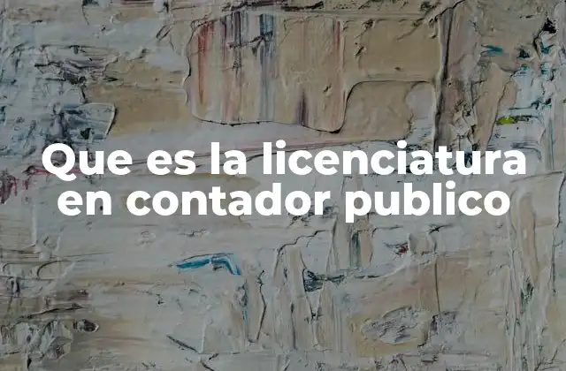 Que es la Licenciatura en Contador Publico
