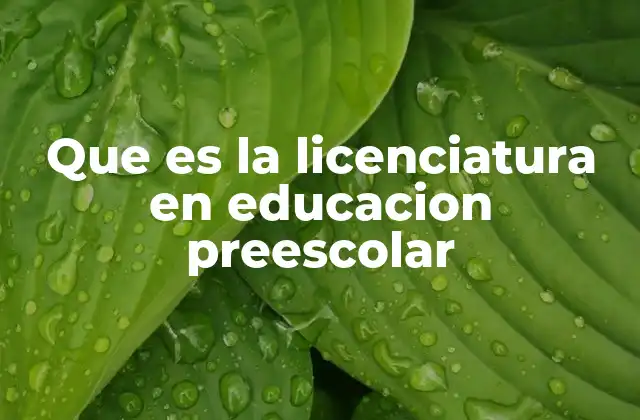 Que es la Licenciatura en Educacion Preescolar