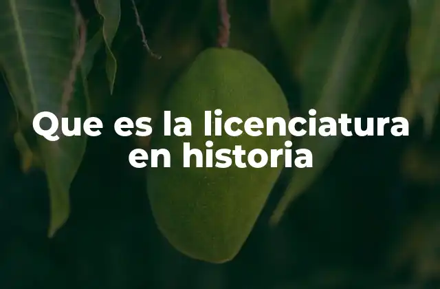 Que es la Licenciatura en Historia