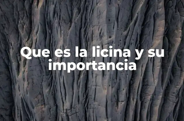 La relación entre la licina y la salud cardiovascular