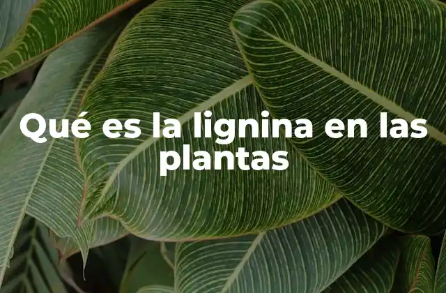 Qué es la Lignina en las Plantas
