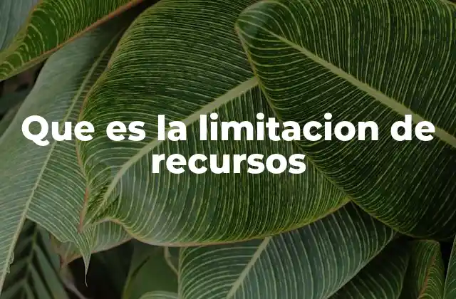 Que es la Limitacion de Recursos